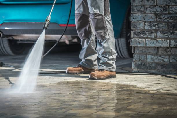 Best Dumpster Area Cleaning  in Dillingham, AK