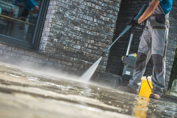 Best Pre-Holiday Cleaning  in Dillingham, AK