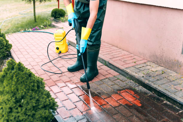 Best Building Exterior Washing  in Dillingham, AK