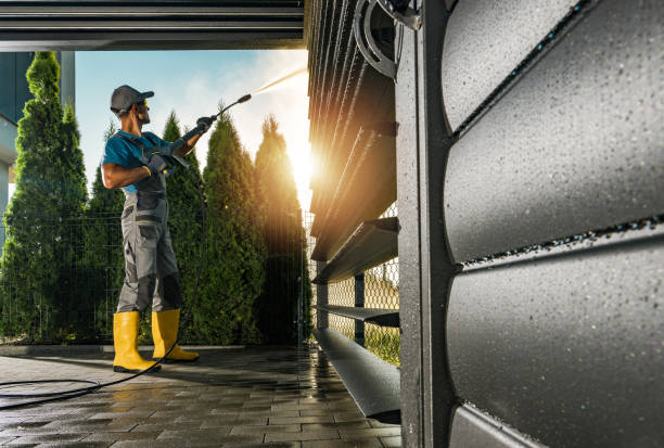Best Driveway Pressure Washing  in Dillingham, AK