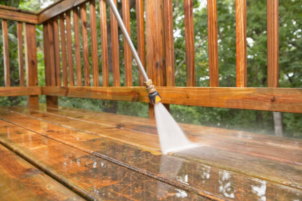 Best Building Exterior Washing  in Dillingham, AK